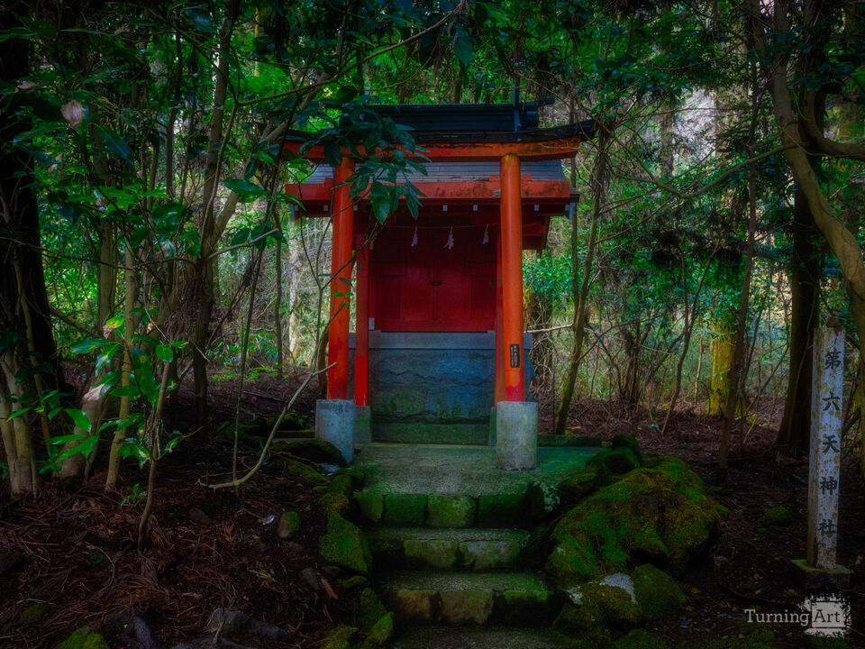 Torii Beyond the Mist