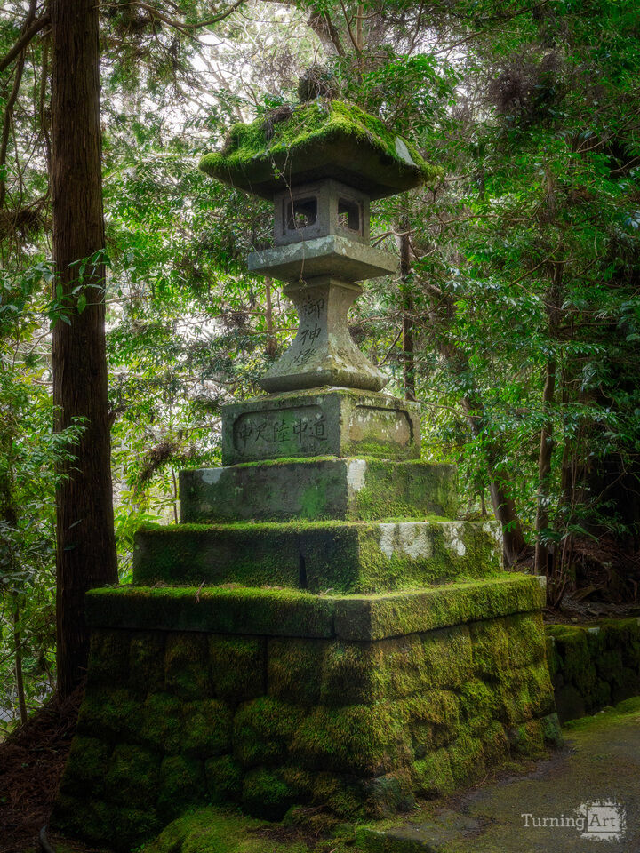 Sacred Lantern Path