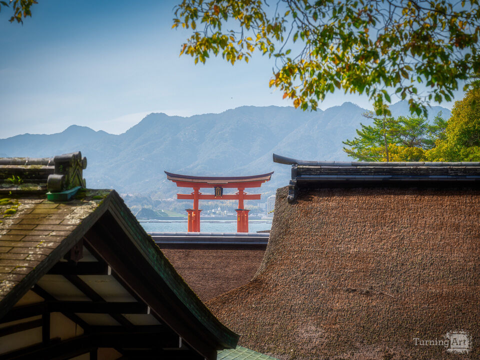 Framed Gate of Miyajima