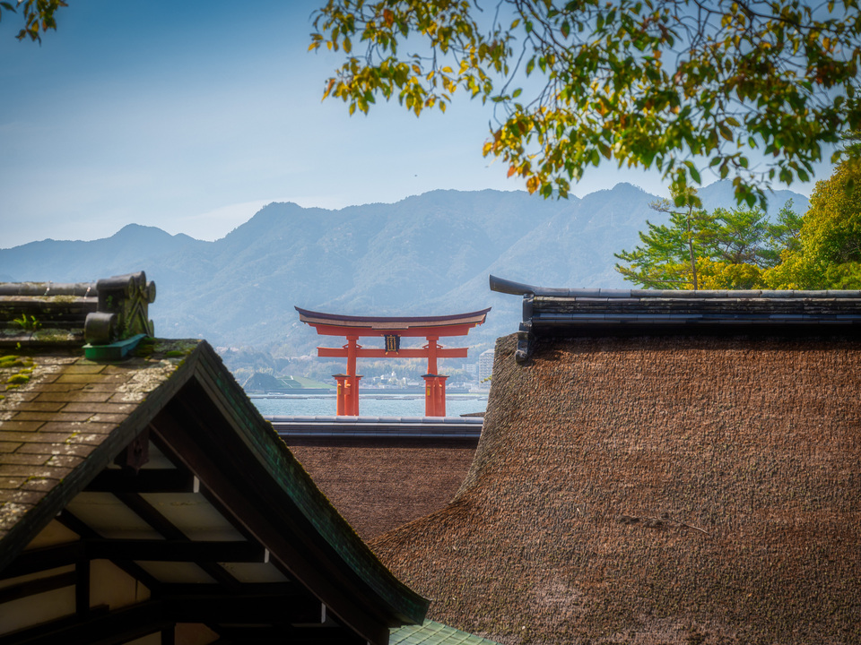 Framed Gate of Miyajima