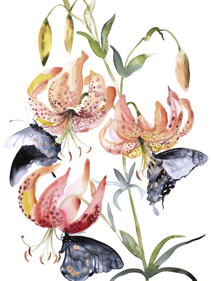 Lilies and Swallowtails