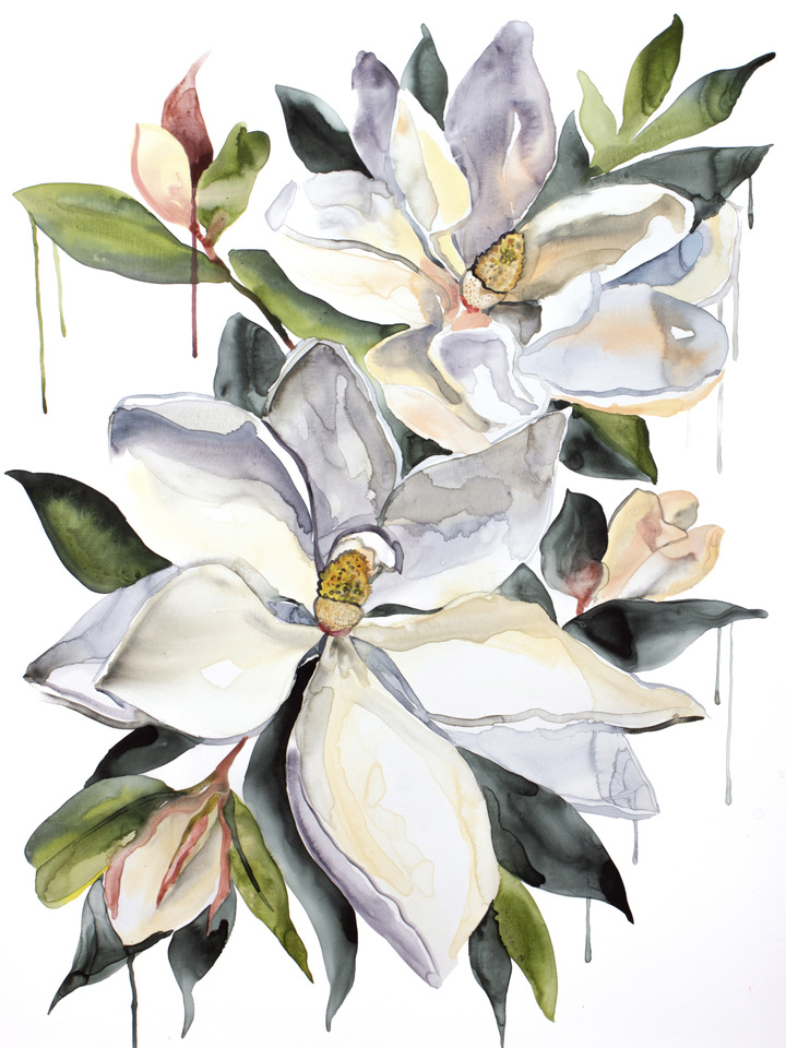 Magnolia No. 70