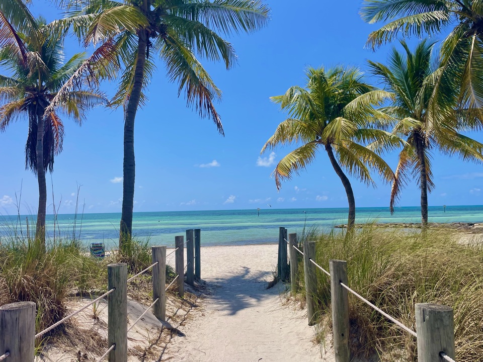 Palm Path to the Keys