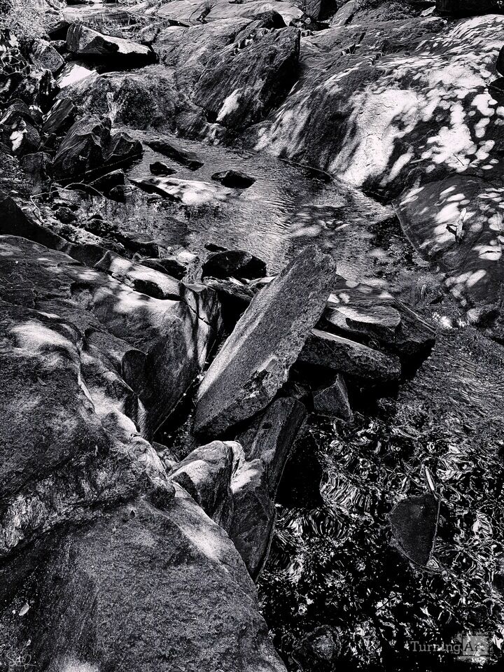 Mountain Stream