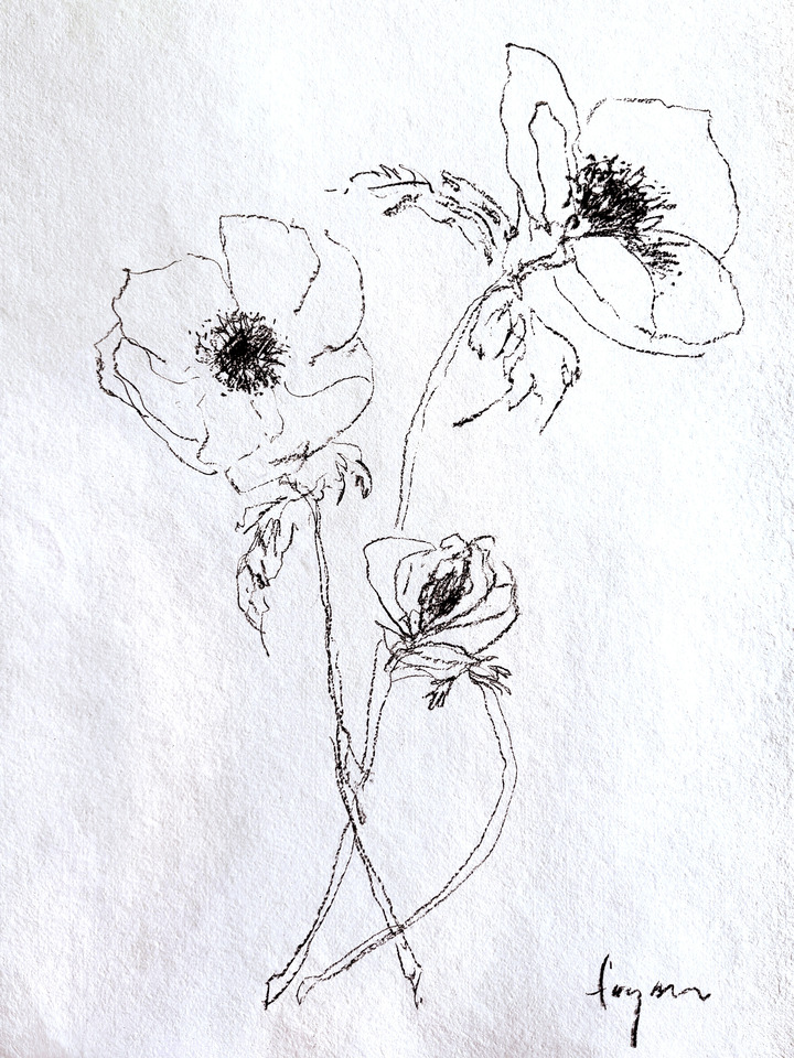 Anemone I