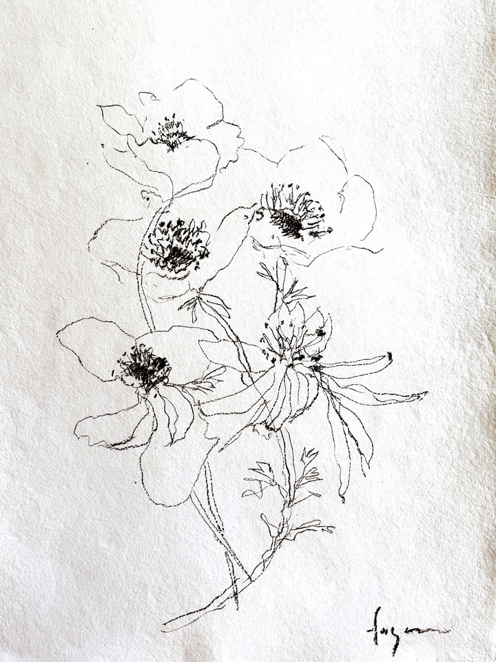 Anemone II