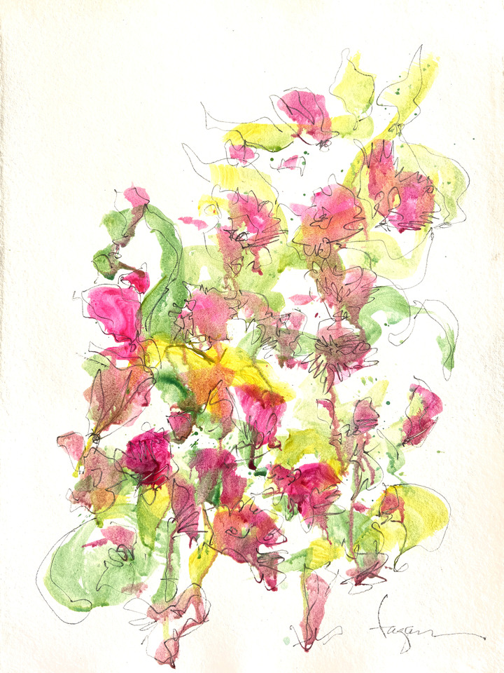 Tulip Essence I