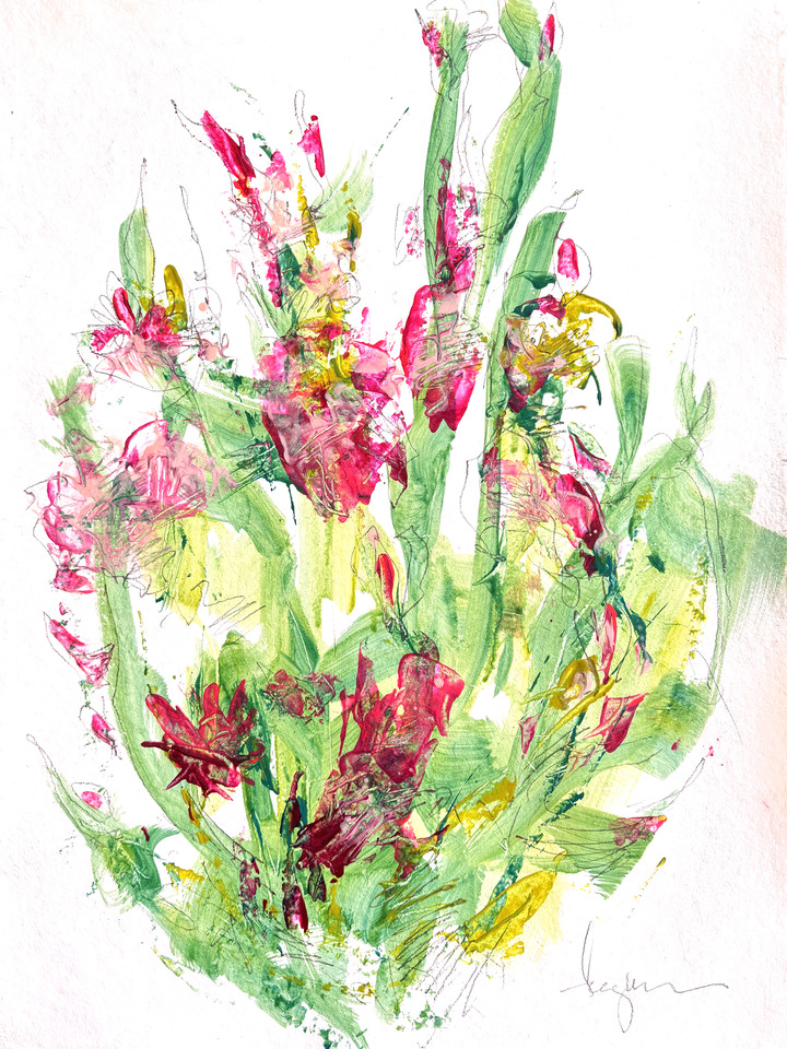 Tulip Essence II