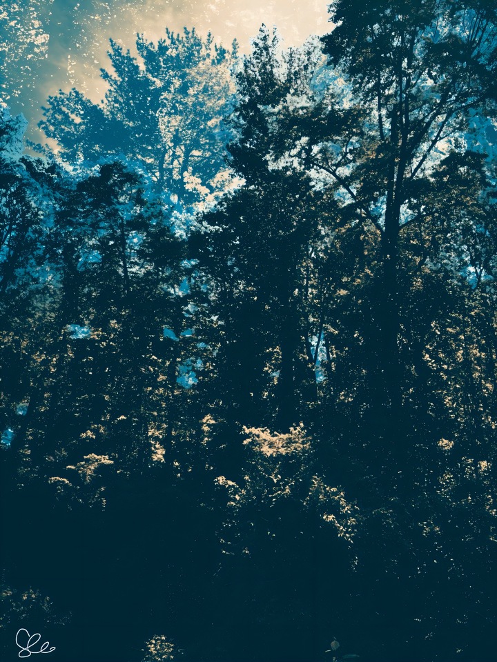Mountain Landscape