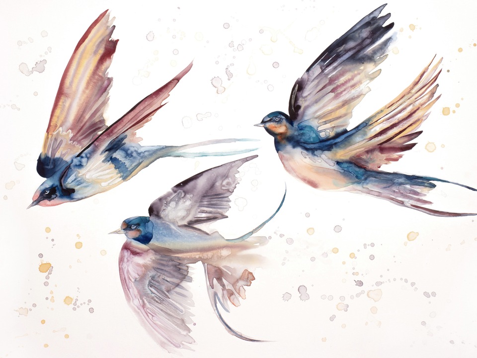 Swallows in Flight No. 48