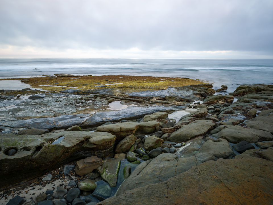 Rocky Shoreline and Reef - La Jolla Coast