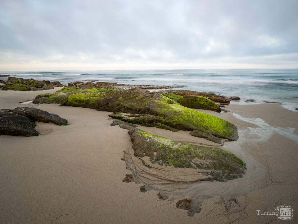 Moss-Covered Rocks - La Jolla California
