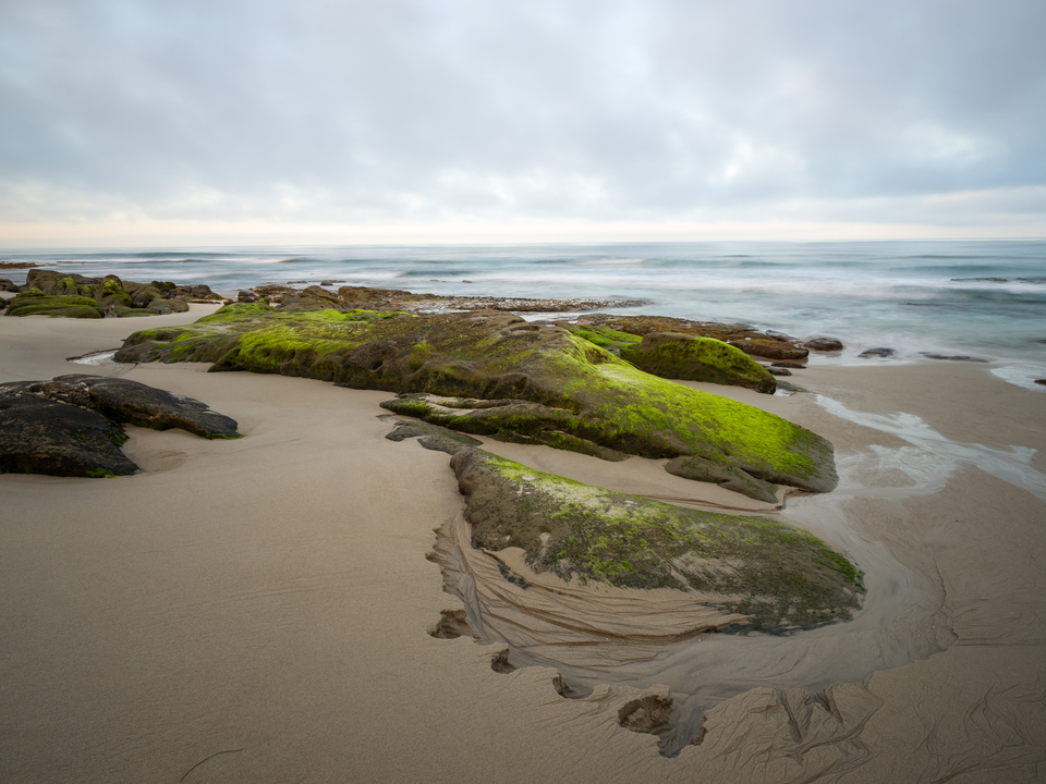 Moss-Covered Rocks - La Jolla California