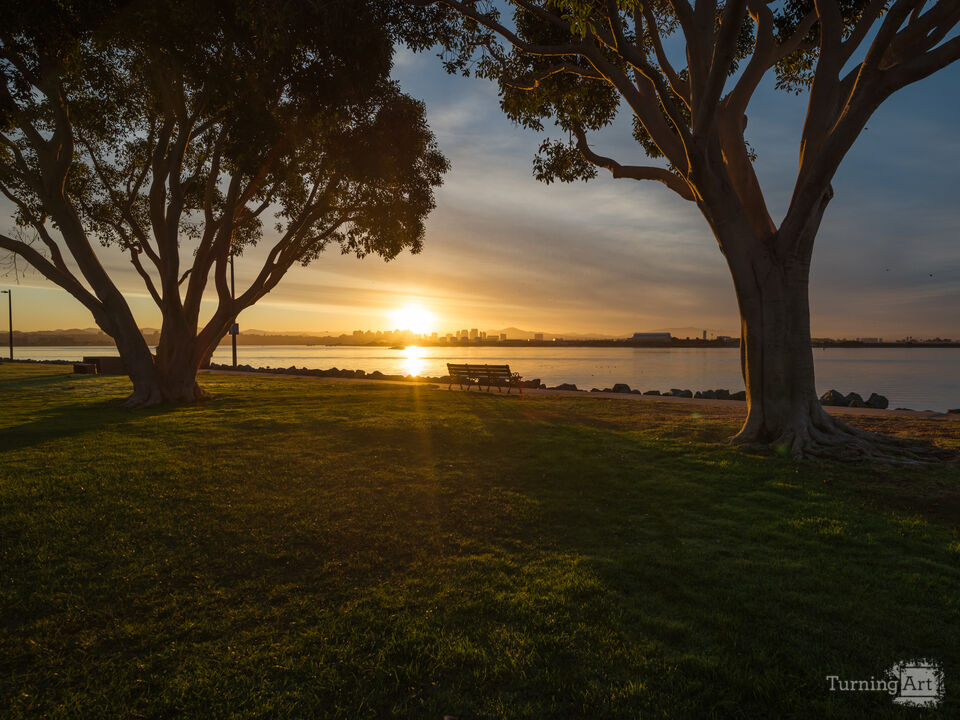 Shelter Island Park Sunrise - San Diego California