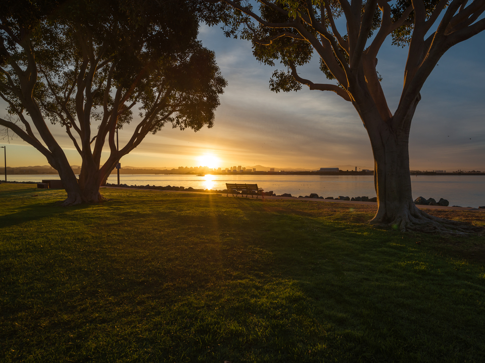 Shelter Island Park Sunrise - San Diego California