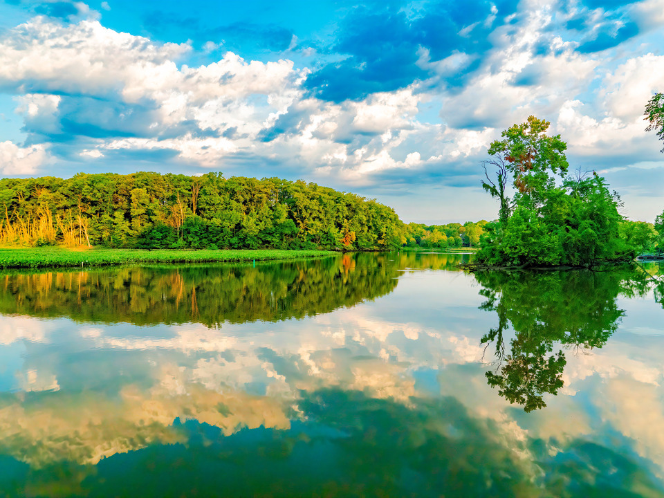 Little Hunting Creek, #89