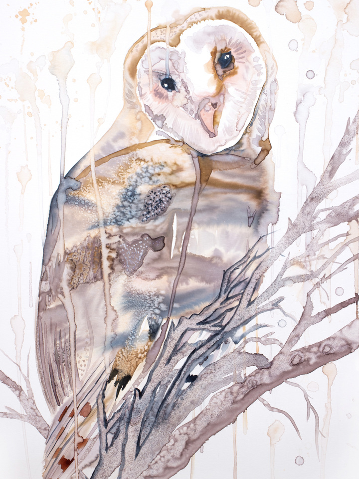 Barn Owl No. 9