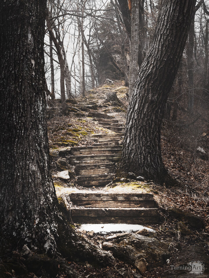 Sentinel Ridge Trail