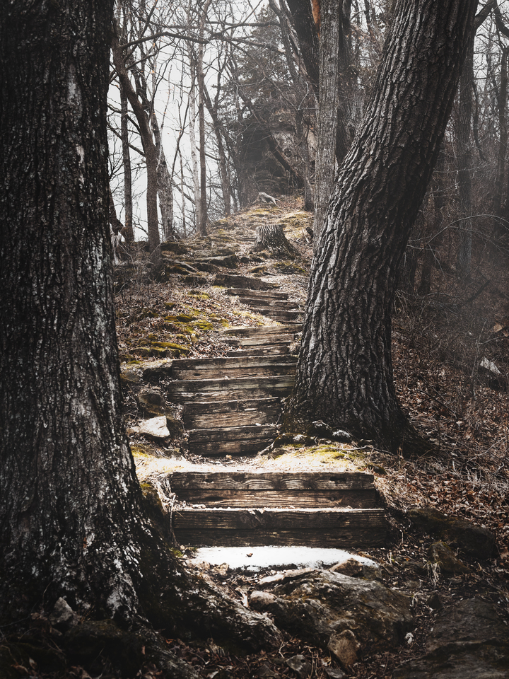 Sentinel Ridge Trail