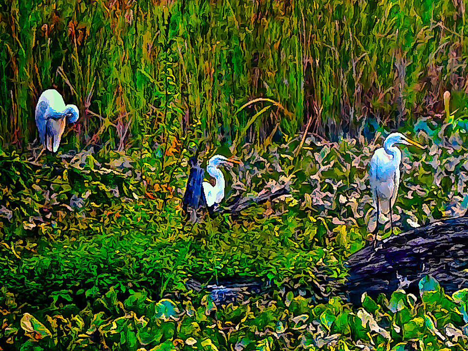 Little Hunting Creek, #188
