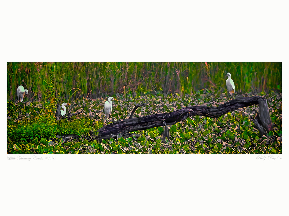 Little Hunting Creek, #196
