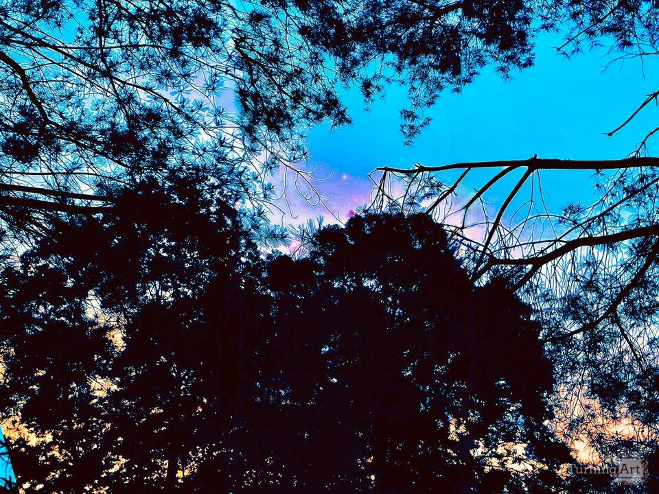 First Star