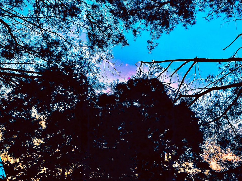 First Star