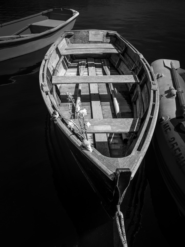 B&W Maine Rowboat and Tulips