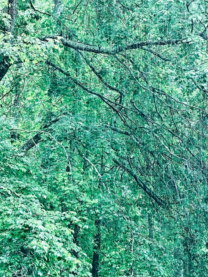 Mountain Rain