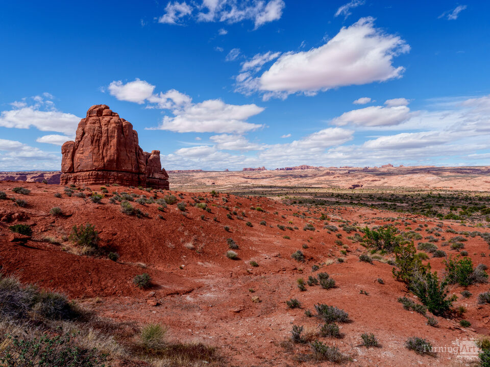 Miles And Miles Of Arches National Park