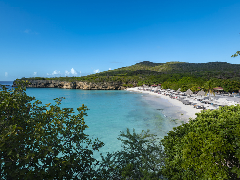 Grote Knip beach