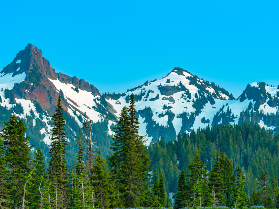 Mount Rainier National Park