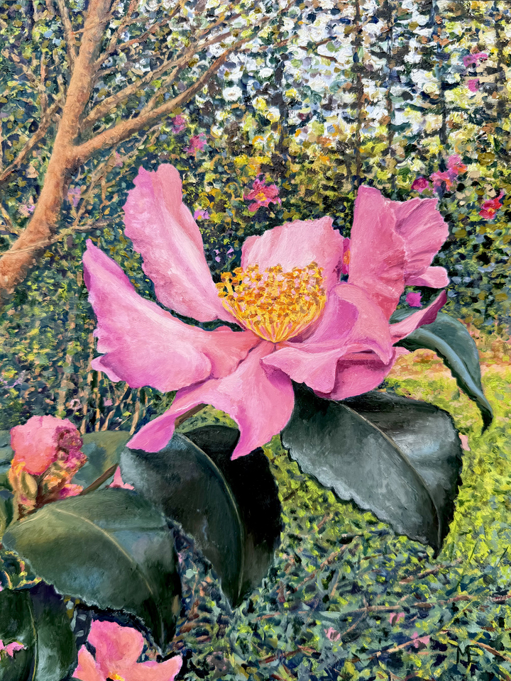  Pink Camellia Oil Painting