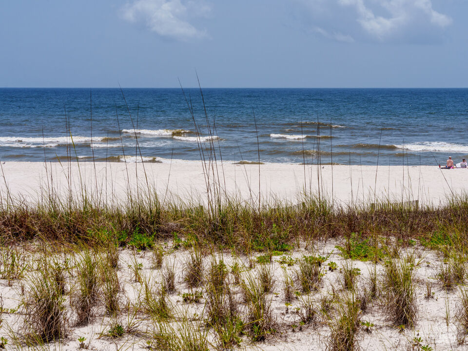 Orange Beach Dunes And Sea Oats