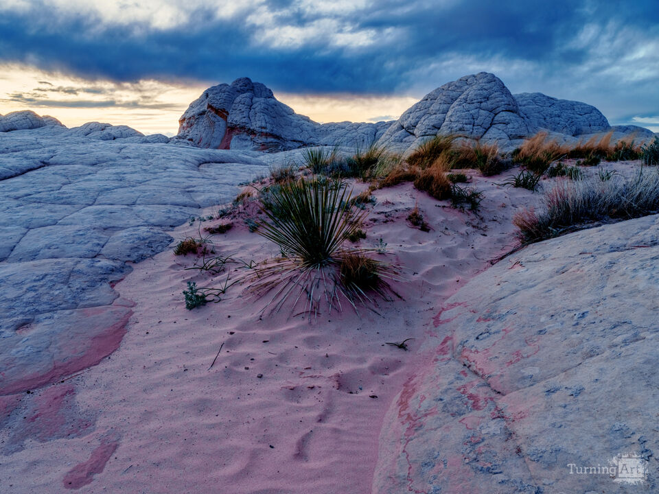 White Pocket Landscape Beyond Imagination