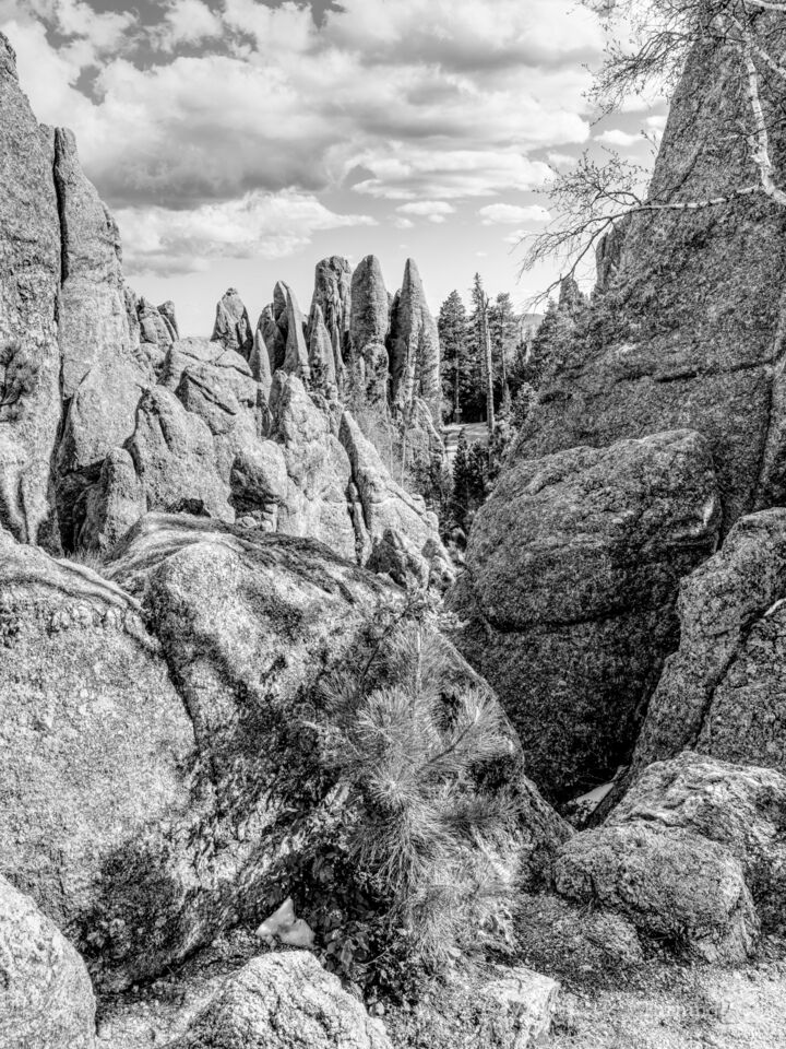 View From Needles Highway Grayscale