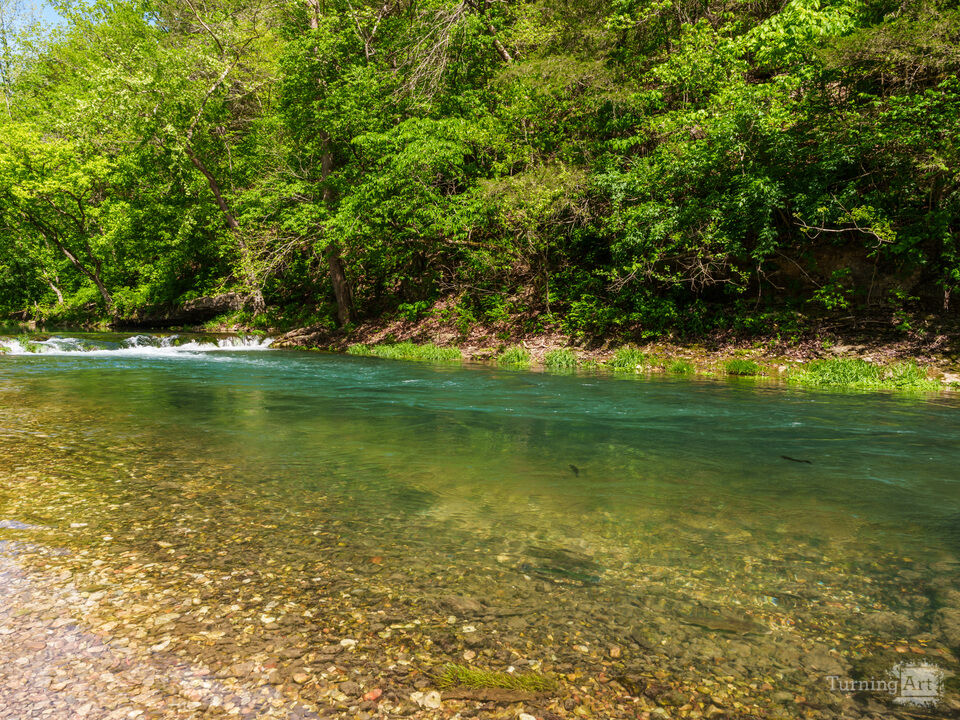 Peaceful Afternoon Along Roaring River