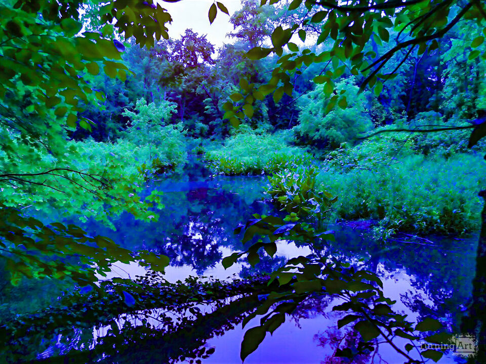 Little Hunting Creek, #206