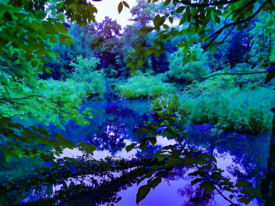 Little Hunting Creek, #206