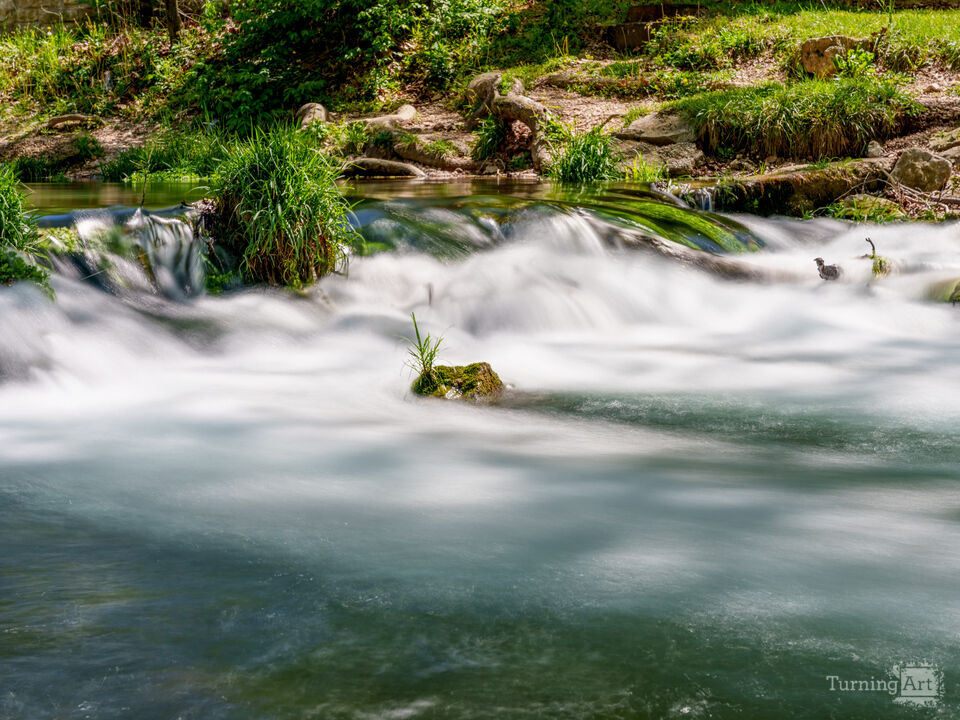 Tranquil Flowing Waters At Roaring River