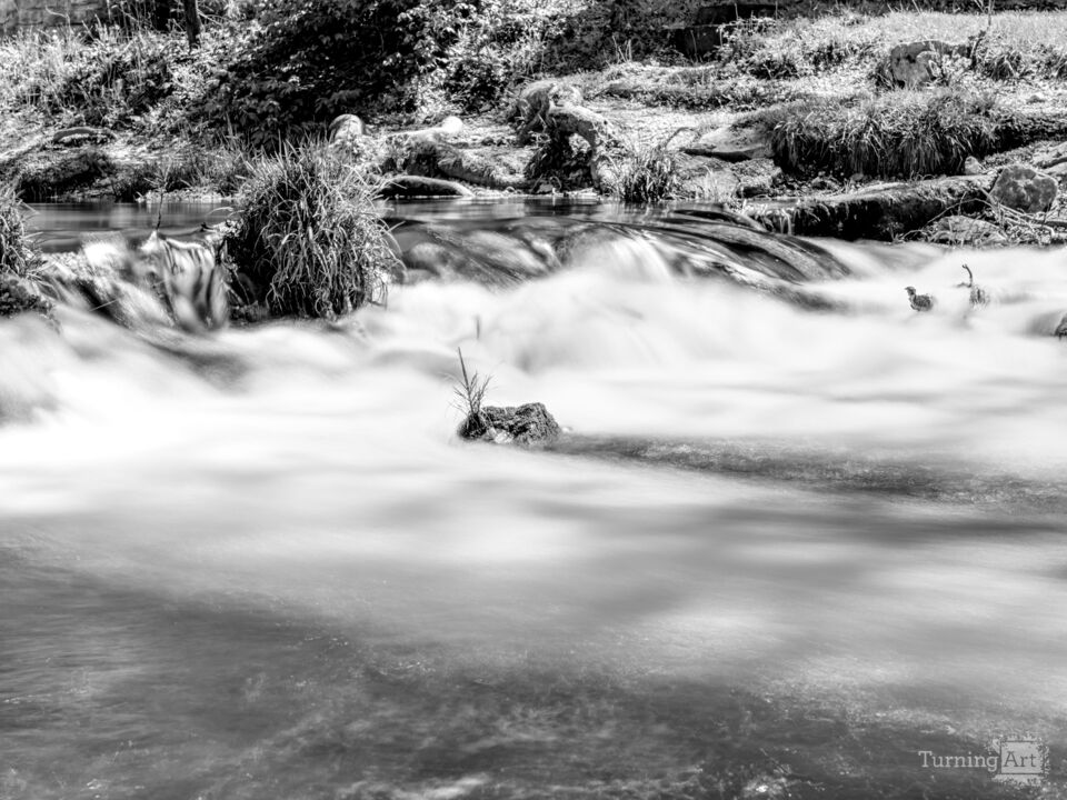 Tranquil Flowing Waters At Roaring River Grayscale