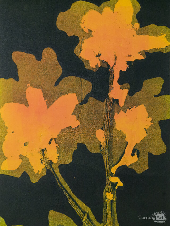 Plant Speak 10