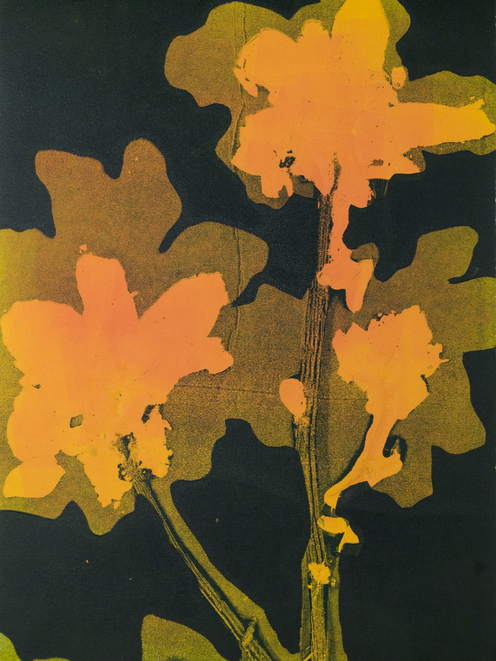 Plant Speak 10