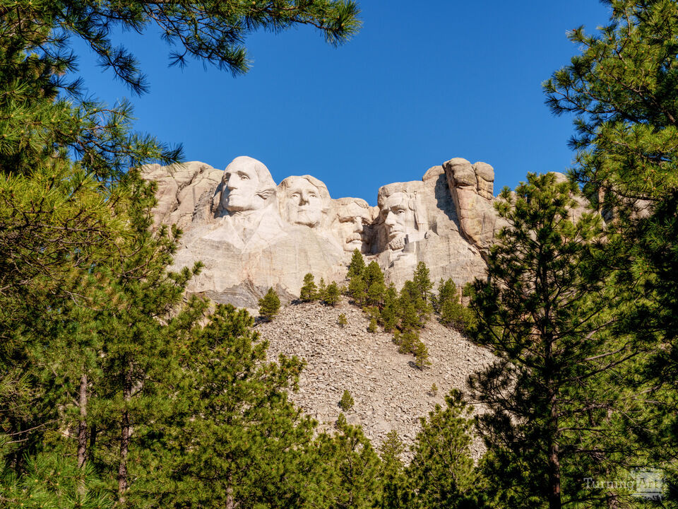 Mount Rushmore Framed By Trees