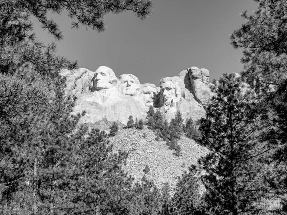 Mount Rushmore Framed By Trees Grayscale