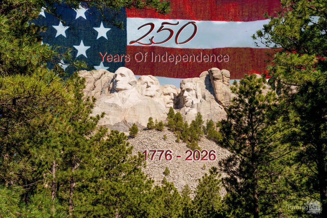 Mount Rushmore Framed By Trees 250 Years