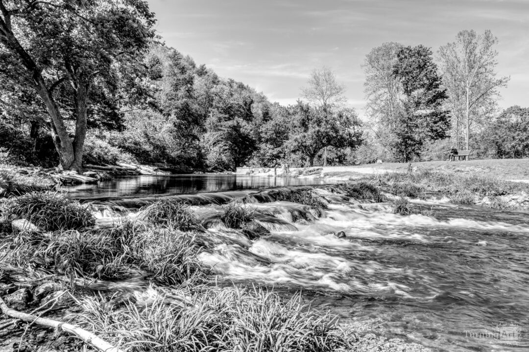 Roaring River Ozarks Retreat Grayscale
