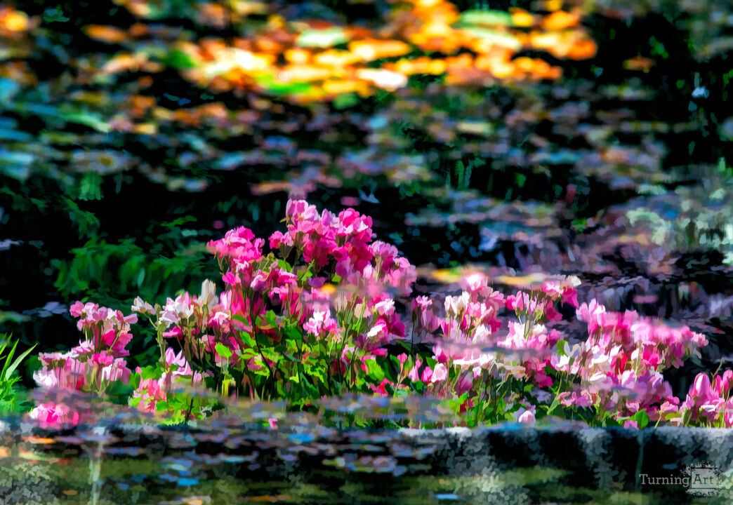 A Secret Garden