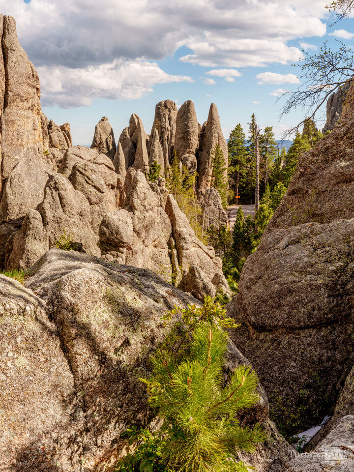 A Needles Highway View