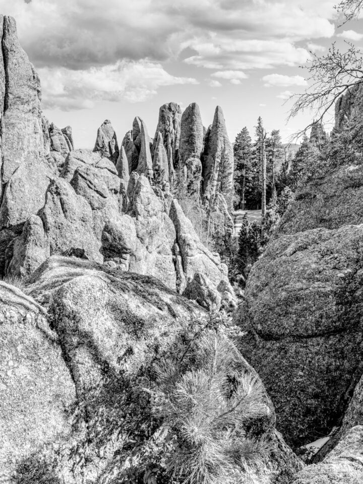 A Needles Highway View Grayscale